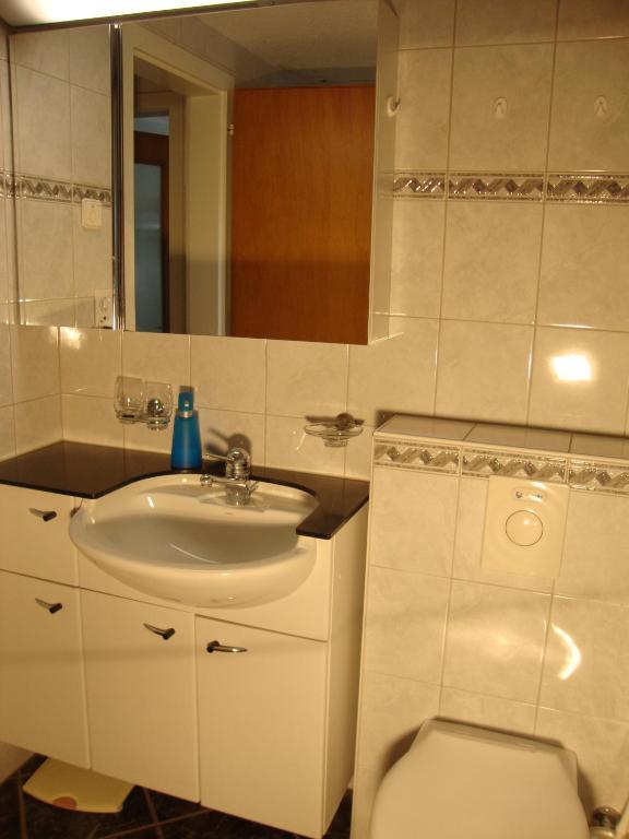 Studio Elsighorn Apartment Frutigen Cameră foto